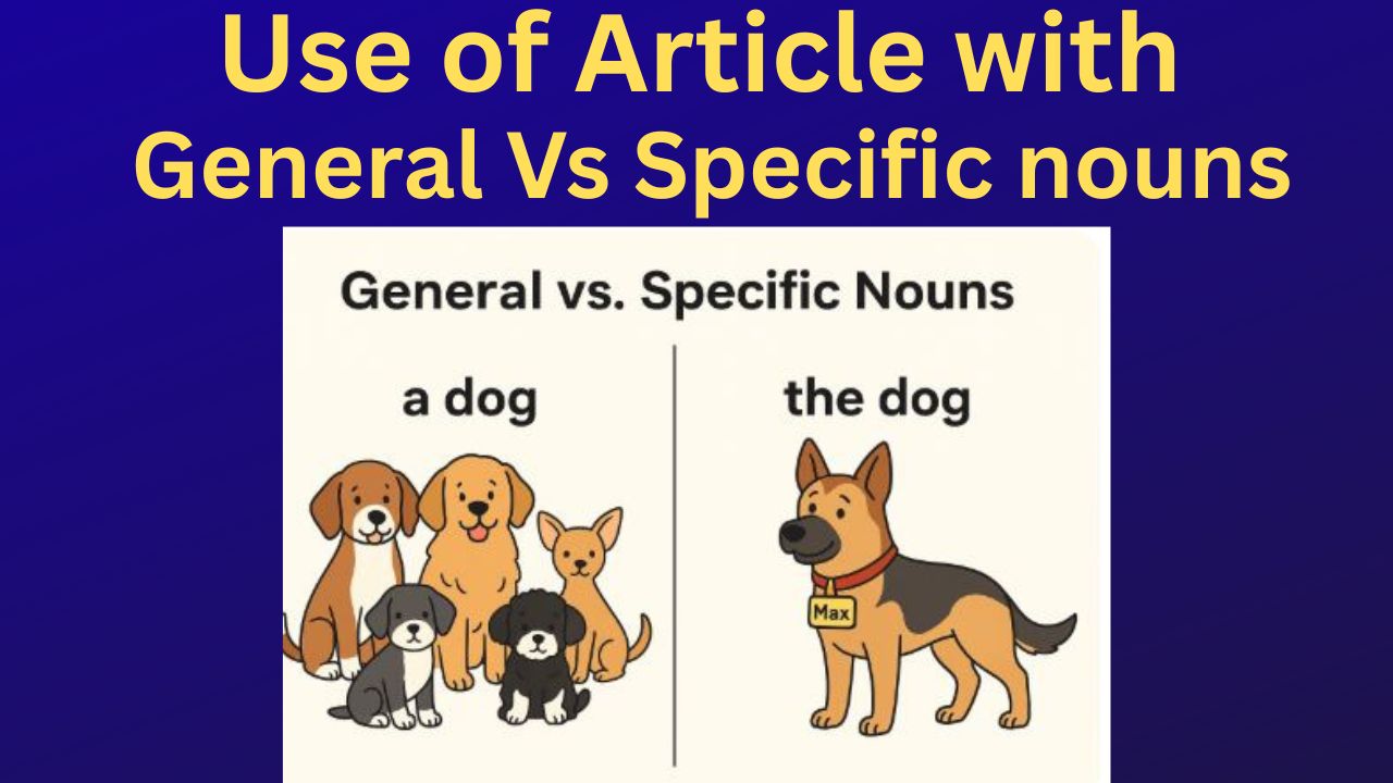 Visual representation of a general vs. a specific noun.