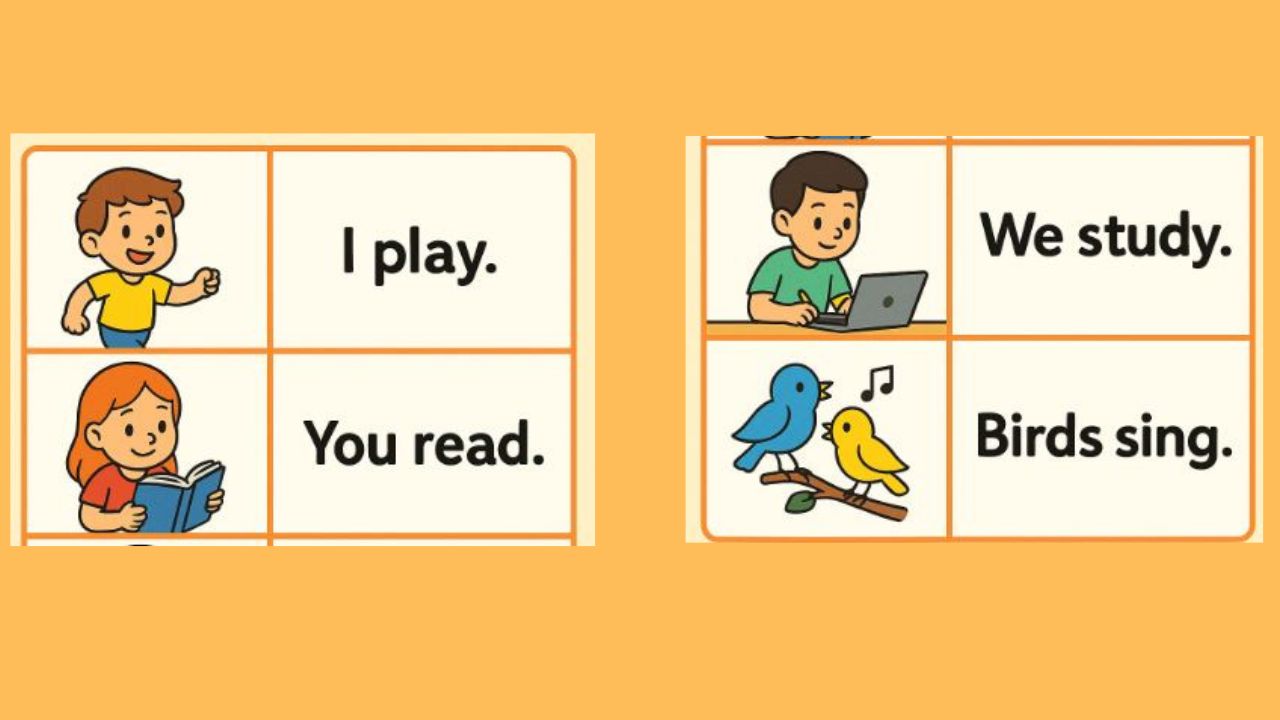 Simple Present Tense Example