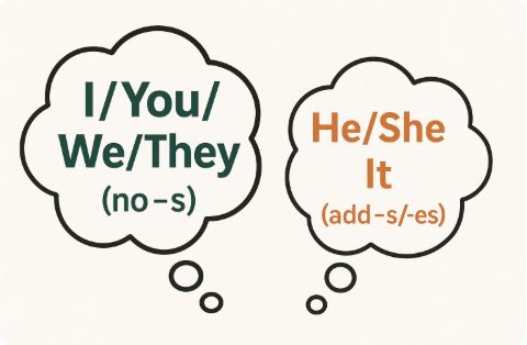 Simple Present Tense Example