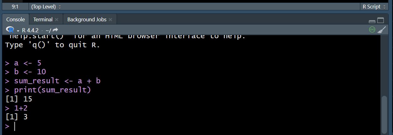 RStudio Script Editor
