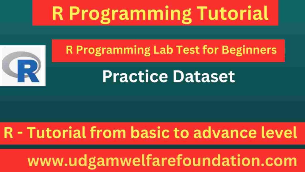R Programming Lab Test for Beginners